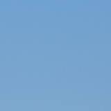 電線に止まった鳥の写真